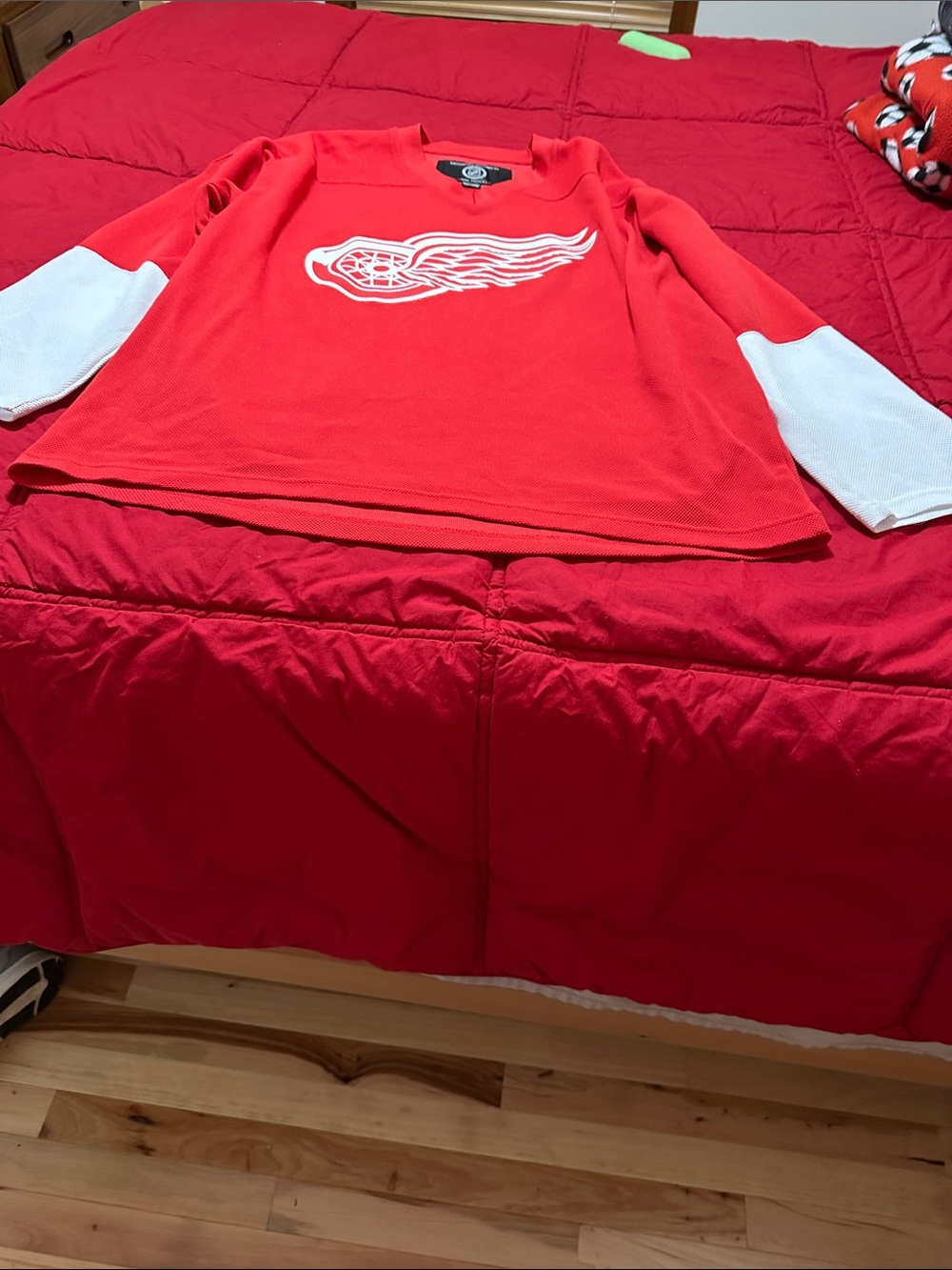 Men’s Detroit Red Wings NHL Red and White Hockey Logo Pullover size xl